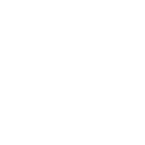 saeco